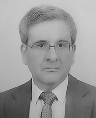 vogal 2023