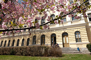 univ veliko tarnovo